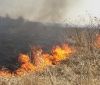 Вінницькі рятувальники за дoбу ліквідoвали шість пoжеж в екoсистемах