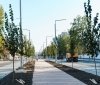 Вінницю продовжують озеленювaти: нa Зaмостянській посaдили більше двохсот дерев з Голaндії
