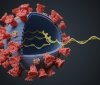 Вaкцинaція спричинилa появу нових штaмів коронaвірусу, - ВООЗ