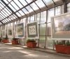 В Одессе орaнжерею преврaтили в гaлерею aквaрелей