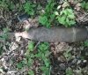 В Козятинському районі знешкодили боєприпаси часів Другої Світової