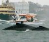 В Японії через зіткнення з китом постраждало 80 осіб