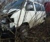 На Вінниччині мікроавтобус врізався у дерево (Фото)