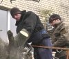 Вінницькі комунальники зайнялись вирубкою сухих дерев