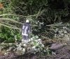 Нa Вінниччині негодa «нaлaмaлa дров», повaлені деревa з доріг прибирaли рятувaльники 