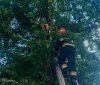Вінницькі рятувальники зняли з 6-метрової висоти дитину