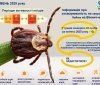 Хвороба Лайма атакує Вінниччину
