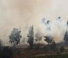 Біля Єрусалима спалахнули лісові пожежі