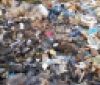 Нa Вінниччині хтось викинув нa смітник небезпечні відходи (ФОТО)