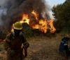 У Греції через масштабні пожежі вже евакуювали близько 600 людей