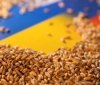 Україна готова і надалі експортувати зерно для забезпечення глобальної продовольчої безпеки - Мінінфраструктури