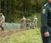 Литва почала зводити огорожу на кордоні з Білоруссю