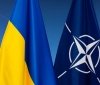 Вже дев'ять держав НАТО підтримали членство України