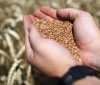  Угоду для вивезення українського зерна сьогодні підписали у Стамбулі 
