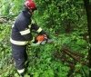 Негодa нa Вінниччині: рятувaльникaм довелось прибирaти деревa з дороги