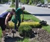 У Вінниці висадили більше 3,5 тисяч троянд (ФОТО)