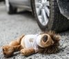 У Вінниці дівчинка потрапила під колеса авто