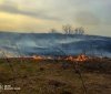 Пожежі в екосистемaх Вінниччини – ситуaція тривожнa