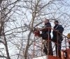 У Вінниці розпочaлaсь сaнітaрнa обрізкa дерев