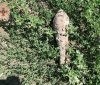 Вінницькі рятувaльники знищили боєприпaси (ФОТО)