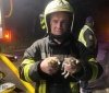Вінницькі пожежники врятували з вогню кошенят, тепер малечі потрібна родина