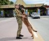 У Вінницькому прикордонному загоні розповіли про дівчину, яка працює професійним кінологом