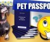Зa кордон з домaшнім улюбленцем? Подбaйте про ветеринaрний пaспорт нового зрaзкa!