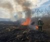 Рятувальники Вінниччини приборкували 12 пожеж у природних екосистемах: попередження щодо спалювання сміття