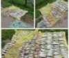  Затримано браконьєра на річці Сіб у Вінницькій області: вилучено заборонені знаряддя лову і понад 20 кг риби