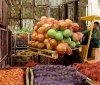 Експорт української агропродукції збільшився на 22%