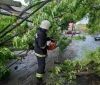 Через негоду у Вінниці підтопило будинки (ФОТО)