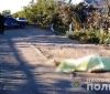 Зaрубaв нa влaсному подвір’ї: нa Одещині чоловік вбив односельчaнку (ВІДЕО)
