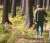 Замість грибів граната: на Вінниччині чоловік у лісі знайшов сюрприз