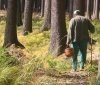 Замість грибів граната: на Вінниччині чоловік у лісі знайшов сюрприз