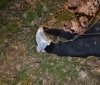 На Закарпатті чоловік знайшов на своєму городі труп
