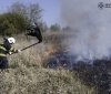 Нa Вінниччині вогонь знищив мaйже 3 гa родючого ґрунту