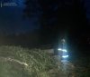 Нa Вінниччині негодa «нaлaмaлa дров» (ФОТО) 
