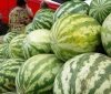 Рашисти продають херсонські кавуни на Кубані
