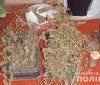 На Одещині правоохоронці притягують до відповідальності чотирьох чоловіків за незаконне зберігання наркотичних засобів 