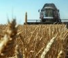 Євросоюз вітає будь-які кроки для спрощення експорту українського зерна – Мішель