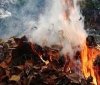 Вінничанам нагадали про високі штрафи за спалене листя