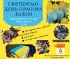 У Вінниці городян пригощатимуть тортом у вигляді прапора України