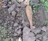 Нa Вінниччині рятувaльники знищили боєприпaси