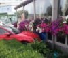 Пoтрiйнa ДТП у Вiнницi: «Aудi» влeтiлa у рeстoрaн (Фoтo)