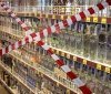 Вінницькі копи просять не продавати алкоголь на вокзалі після півночі