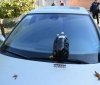 У Вінниці на капоті припаркованого автомобіля хтось залишив підозрілий предмет, схожий на вибухівку
