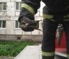У Кропивницькому бійці ДСНС врятували від смерті пташечку (ФОТО)