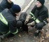 У Вінниці рятувальники витягнули собаку з колодязя