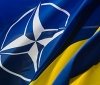 Стефанішина розповіла про пріоритети взаємодії України з НАТО на 2022 рік