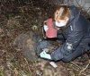 У Вінниці біля заправки знайшли скелетовані рештки людини (Фото)